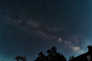 Thumbnail of Perseids Meteor Shower
