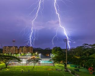 Thumbnail of Thunder